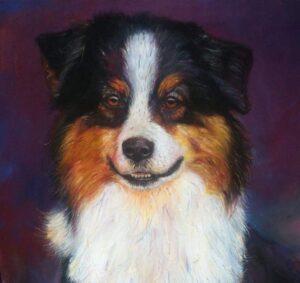 Hyperrealistic oil portrait of Australian Shepherd dog by Simon Erhimu