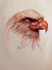 Realistic pen portrait of an Eagle head by Simon Erhimu